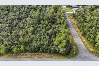 4282 W Thrush Drive, Citrus Springs, FL 34433 - Photo 11