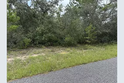 4282 W Thrush Drive, Citrus Springs, FL 34433 - Photo 1