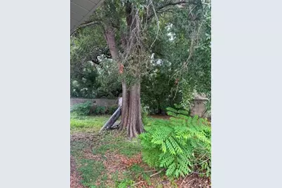 3809 W Horatio Street, Tampa, FL 33609 - Photo 19