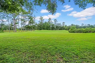 4455 Gevalia Dr, Brooksville, FL 34604 - Photo 63