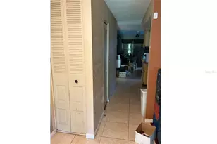5216 Landsman Ave, Tampa, FL 33625 - Photo 3