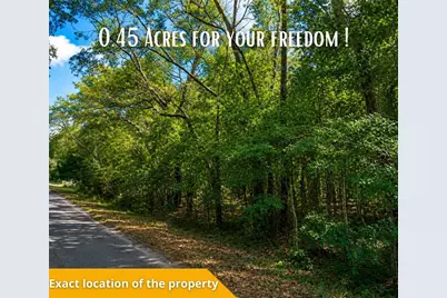 Fisher Ln Ct, Ocklawaha, FL 32179 - Photo 39