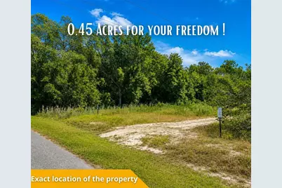 Fisher Ln Ct, Ocklawaha, FL 32179 - Photo 37