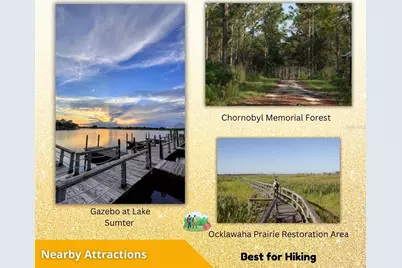 Fisher Ln Ct, Ocklawaha, FL 32179 - Photo 33