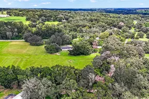 17380 Sweetwater Rd, Dade City, FL 33523 - Photo 53