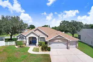 4430 Merrick Run Ln, Valrico, FL 33596 - Photo 59