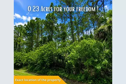 Belladonna Ave, North Port, FL 34286 - Photo 31