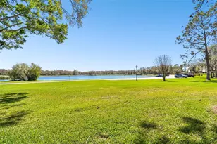 36750 US Hwy 19 N, Palm Harbor, FL 34684 - Photo 5