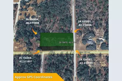 Sw Sea Cliff Ave, Dunnellon, FL 34431 - Photo 21