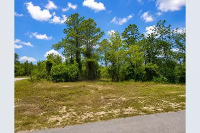 Sw Sea Cliff Ave, Dunnellon, FL 34431 - Photo 3