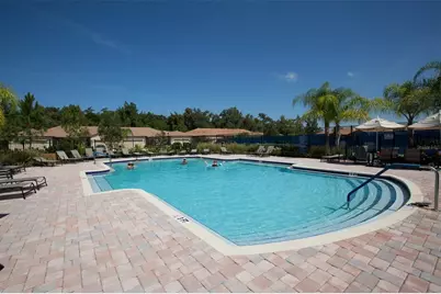 229 Silver Falls Drive, Apollo Beach, FL 33572 - Photo 75