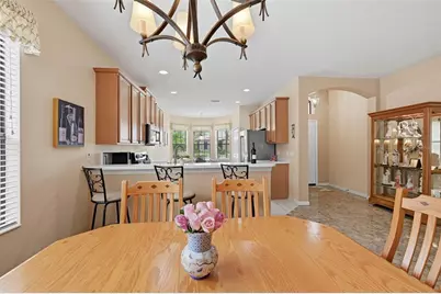 229 Silver Falls Drive, Apollo Beach, FL 33572 - Photo 17