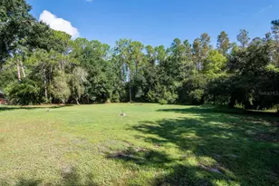 17535 Wellfield Ct, Lutz, FL 33558 - Photo 51