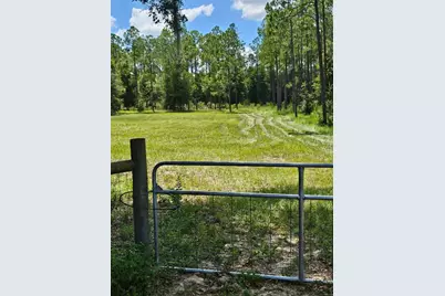 18505 Holloway Lane, Dade City, FL 33523 - Photo 1
