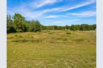 Se 113th St Rd, Ocklawaha, FL 32179 - Photo 3