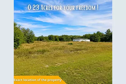 Se 113th St Rd, Ocklawaha, FL 32179 - Photo 45