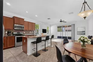 10406 Orchid Mist Ct, Riverview, FL 33578 - Photo 3
