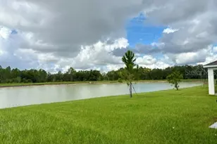 35694 Kinsey Pt, Zephyrhills, FL 33541 - Photo 23