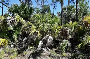 Guttenburg Rd, North Port, FL 34288 - Photo 1