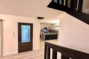 2747 5th Ct, Palm Harbor, FL 34684 - Photo 3