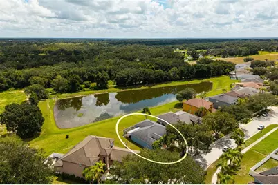 3513 Pine Top Drive, Valrico, FL 33594 - Photo 3