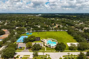 3513 Pine Top Dr, Valrico, FL 33594 - Photo 43