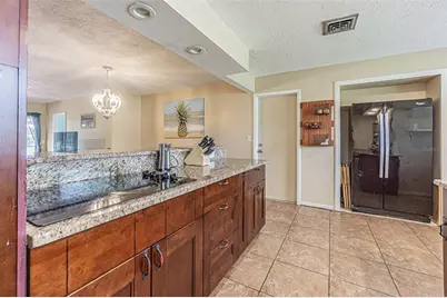 6924 300th Avenue N, Clearwater, FL 33761 - Photo 9