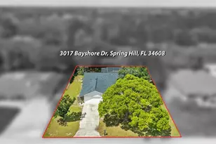 3017 Bayshore Dr, Spring Hill, FL 34608 - Photo 43