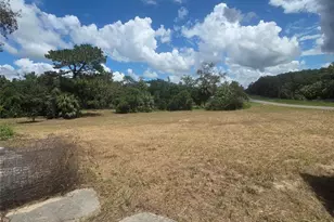 10543 Denton Ave, Hudson, FL 34667 - Photo 3