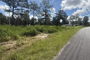 12220 Marvelwood Rd, Weeki Wachee, FL 34614 - Photo 1