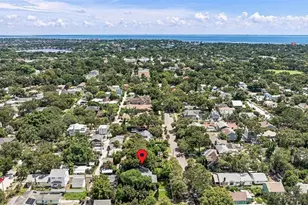 841 24th Ave N, Saint Petersburg, FL 33704 - Photo 63