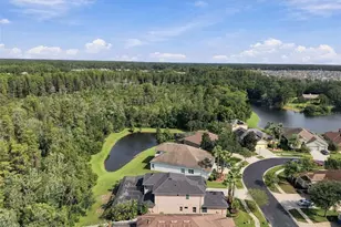 3339 Diamond Falls Cir, Land O Lakes, FL 34638 - Photo 83