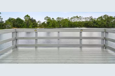 3339 Diamond Falls Circle, Land O Lakes, FL 34638 - Photo 97
