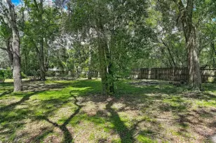 17235 Carlesimo Ave, Spring Hill, FL 34610 - Photo 45
