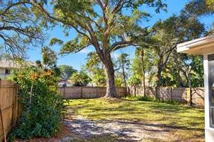 446 New York Ave, Dunedin, FL 34698 - Photo 9