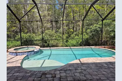 15079 Renaissance Avenue, Odessa, FL 33556 - Photo 27