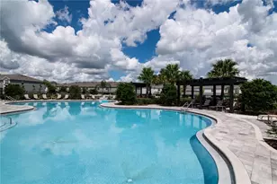 8556 Bold Cypress Ln, Wesley Chapel, FL 33545 - Photo 39