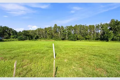 289 Magnolia Acres Court, Lutz, FL 33548 - Photo 15