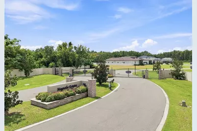 289 Magnolia Acres Court, Lutz, FL 33548 - Photo 37
