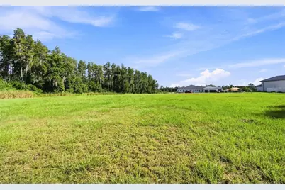 289 Magnolia Acres Court, Lutz, FL 33548 - Photo 13