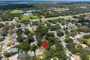 9 Harbor Cove Street W, Safety Harbor, FL 34695 - Photo 67
