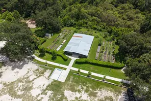 9 Harbor Cove Street W, Safety Harbor, FL 34695 - Photo 57