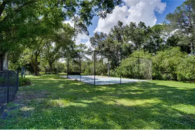 12511 Palomino Court, Tampa, FL 33626 - Photo 69