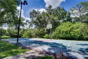 12511 Palomino Ct, Tampa, FL 33626 - Photo 71