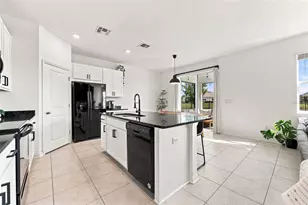 34103 White Fountain Ct, Wesley Chapel, FL 33545 - Photo 11