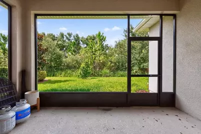 28583 Cozy Creek Drive, Wesley Chapel, FL 33543 - Photo 43