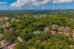 612 Baldwin Ave, Safety Harbor, FL 34695 - Photo 35