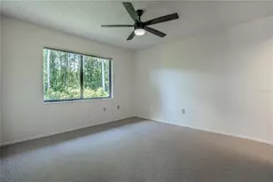 612 Baldwin Ave, Safety Harbor, FL 34695 - Photo 15