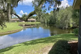 110 Evelyn Ct, Oldsmar, FL 34677 - Photo 37