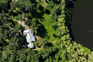 5135 Collier Pkwy, Land O Lakes, FL 34639 - Photo 15